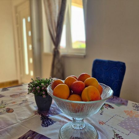 Apartments Josi - Parking And Barbecue Grebaštica 외부 사진